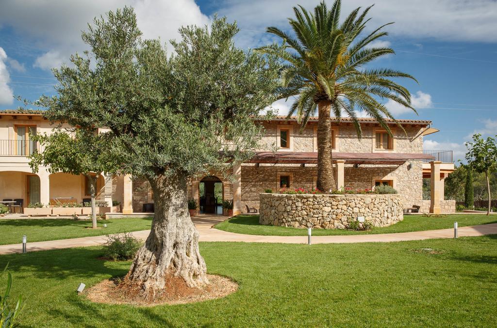 S'arboçar Séjour à la ferme Sant Llorenc Des Cardassar